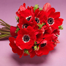 Lade das Bild in den Galerie-Viewer, Blumen - voller runder Diamant - 30x30cm