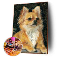 Lade das Bild in den Galerie-Viewer, Hundeperle - voller runder Diamant - 30x40cm