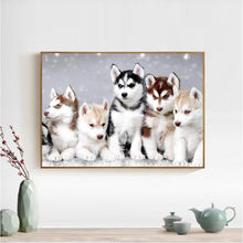 Lade das Bild in den Galerie-Viewer, Welpen Schlafzimmer - voller quadratischer Diamant - 50x40cm