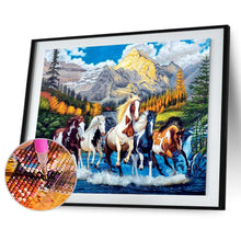 Lade das Bild in den Galerie-Viewer, Farbe Pferd - voller quadratischer Diamant - 50x40cm