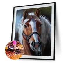 Lade das Bild in den Galerie-Viewer, Kreuz-Ctitch Pferd - voller quadratischer Diamant - 40x50cm