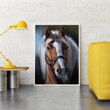 Lade das Bild in den Galerie-Viewer, Kreuz-Ctitch Pferd - voller quadratischer Diamant - 40x50cm