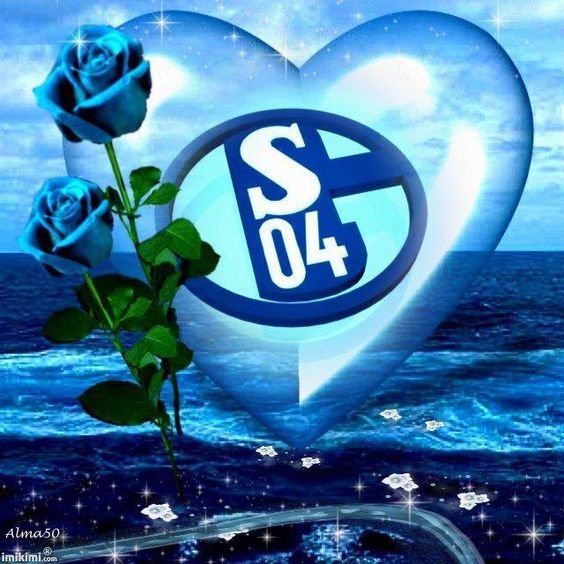 Diamond Painting Schalke 04