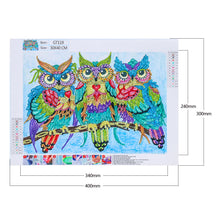 Lade das Bild in den Galerie-Viewer, Eulen-speziell geformtes Kristalldiamant-Gemälde-40 * 30cm