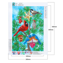 Lade das Bild in den Galerie-Viewer, Cardinal-Special Shaped Crystal Diamond Painting-30*40cm