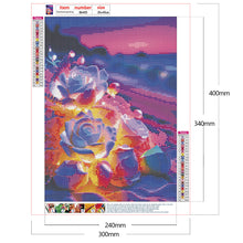 Lade das Bild in den Galerie-Viewer, Kristallrose am Meer-Vollbild Diamond Painting-30x40cm