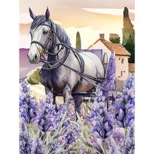 Lade das Bild in den Galerie-Viewer, (Mehrere Größen rund/quadratisch) Lavender-Volle Diamond Painting