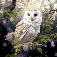 Lade das Bild in den Galerie-Viewer, Owl-VollerDiamond Painting-30x30cm