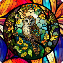 Lade das Bild in den Galerie-Viewer, Buntglas Owl-Voller Round Diamond Painting-30x30cm