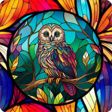 Lade das Bild in den Galerie-Viewer, Buntglas Owl-Voller Round Diamond Painting-30x30cm