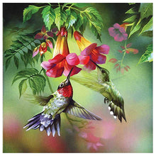 Lade das Bild in den Galerie-Viewer, Vögel Tier - voller runder Diamant - 30x30cm