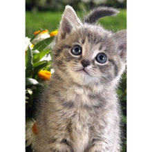 Lade das Bild in den Galerie-Viewer, Kätzchen - voller runder Diamant - 30x40cm