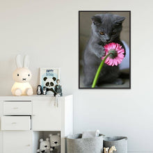Lade das Bild in den Galerie-Viewer, Katze - voller runder Diamant - 30x40cm