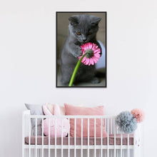 Lade das Bild in den Galerie-Viewer, Katze - voller runder Diamant - 30x40cm