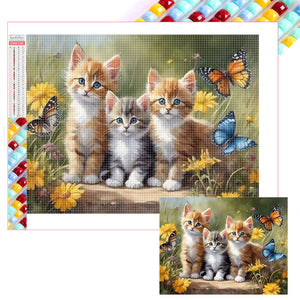 Katze-Voll  Square Diamond Painting-40x30cm