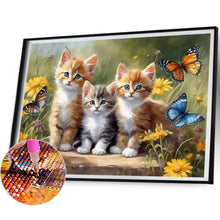 Lade das Bild in den Galerie-Viewer, Katze-Voll  Square Diamond Painting-40x30cm
