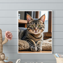 Lade das Bild in den Galerie-Viewer, Katze-Voll Round Diamond Painting-40x50cm
