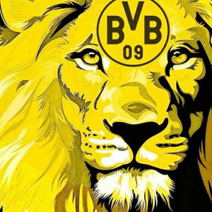 BVB- Diamond Painting-40*40cm