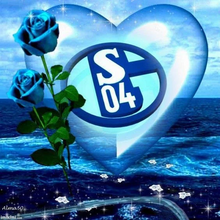 Lade das Bild in den Galerie-Viewer, （3PCS)Fußball Schalke 04- Diamond Painting 40*40cm
