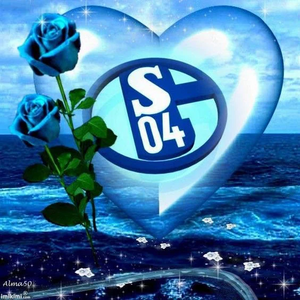 （3PCS)Fußball Schalke 04- Diamond Painting 40*40cm