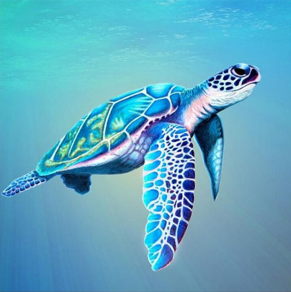 Schwimmende Schildkröte-Diamond Painting