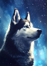 Lade das Bild in den Galerie-Viewer, Husky Dog Night-Voll Round Diamond Painting-40x50cm
