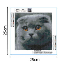 Lade das Bild in den Galerie-Viewer, Graue Katze - voller quadratischer Diamant - 25x25cm
