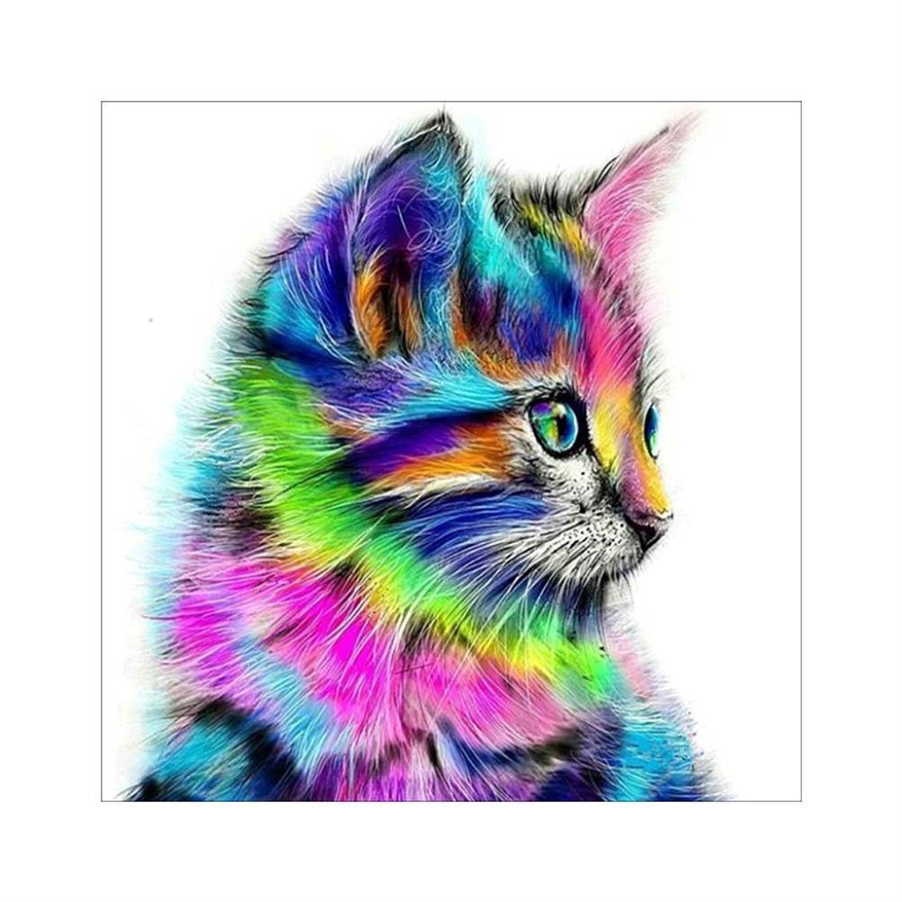 Farbe Katze - voller quadratischer Diamant - 25x25cm