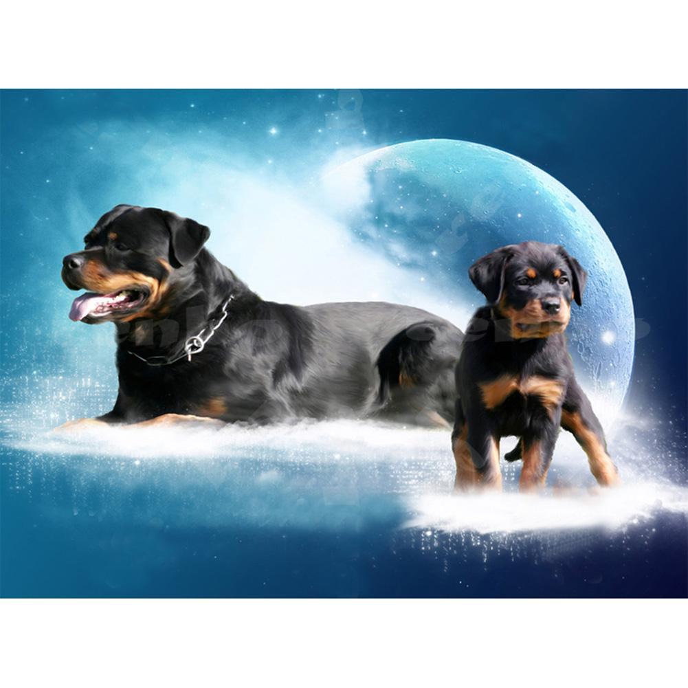 Hund - voller runder Diamant - 40x30cm