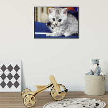 Lade das Bild in den Galerie-Viewer, Hallo Katze - voller runder Diamant - 40x30cm
