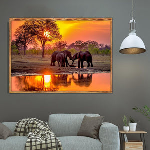 Elefant - volle Diamant-Malerei - 40x30cm