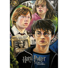 Lade das Bild in den Galerie-Viewer, Harry Potter - voller runder Diamant - 30x40cm
