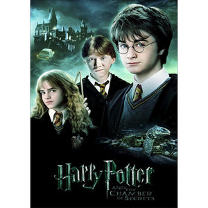 Harry Potter - voller runder Diamant - 30x40cm