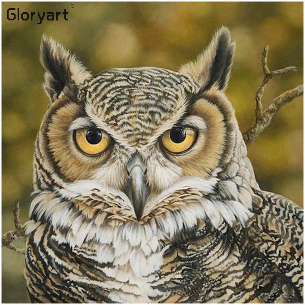 Gloryart Eule - voller runder Diamant - 30x30cm