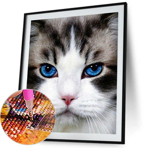 Katze - volle Diamant-Malerei - 30x40cm
