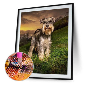 Grauer Hund - volle Diamant-Malerei - 30x40cm