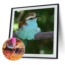 Lade das Bild in den Galerie-Viewer, Vogel Tier - volle Diamant-Malerei - 30x30cm
