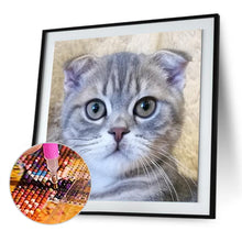 Lade das Bild in den Galerie-Viewer, CatArt - volldiamante Malerei - 30x30cm
