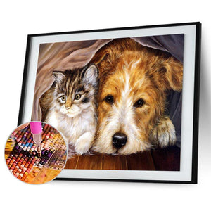 Langweilige Katze Hund - voller Diamant-Malerei - 40x30cm