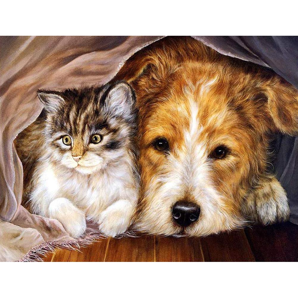 Langweilige Katze Hund - voller Diamant-Malerei - 40x30cm