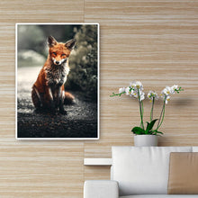 Lade das Bild in den Galerie-Viewer, Fuchs auf Straße Ornamente - voller runder Diamant - 30x40cm
