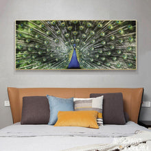 Lade das Bild in den Galerie-Viewer, Pfau - voller runder Diamant - 100x50cm
