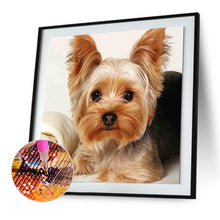 Lade das Bild in den Galerie-Viewer, Hund Tier - voller runder Diamant - 30x30cm
