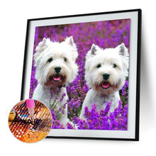 Lade das Bild in den Galerie-Viewer, Hund Tier - voller runder Diamant - 30x30cm
