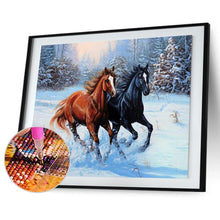 Lade das Bild in den Galerie-Viewer, Pferd Tier - voller quadratischer Diamant - 50x40cm
