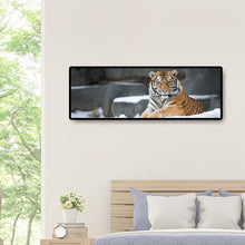 Lade das Bild in den Galerie-Viewer, Tiger Tier Kind - voller runder Diamant - 80x30cm
