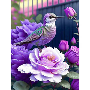 Hummingbird Moonlight Flower-Voll Round Diamond Painting-30x40cm