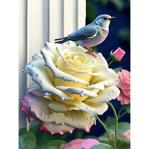 Hummingbird Moonlight Flower-Voll Round Diamond Painting-30x40cm