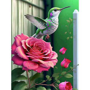 Hummingbird Moonlight Flower-Voll Round Diamond Painting-30x40cm