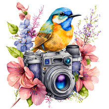 Lade das Bild in den Galerie-Viewer, Camera Bird-VollerDiamond Painting-30x30cm
